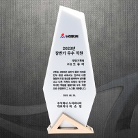 공로 재직기념 감사 위촉패 DS12-21-2