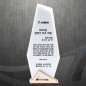 공로 재직기념 감사 위촉패 DS12-21-2