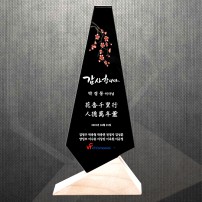 공로 재퇴직기념 감사패 DS12-20-2