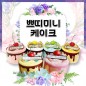 쁘띠미니케익