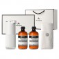 웰세스 WG-103BT 버블 손세정제 자동 디스펜서 1개 + 버블 핸드워시 리필 2개 (500ml) +  핸드타올 1개