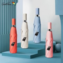 아놀드파마 3단수동 아모르 우양산(0190029)