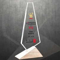 공로 재퇴직기념 감사패 DS12-20-1