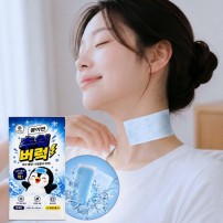앗차거 아이스 냉감 쿨링 쿨패치 2매입 K2696