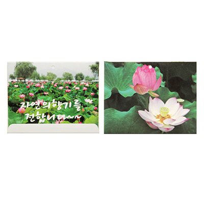 사세(멤브렌 방향제)-꽃_(가로형)